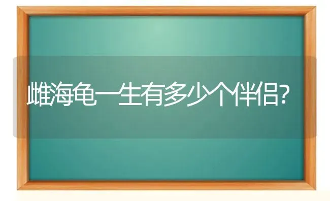 雌海龟一生有多少个伴侣？ | 动物养殖问答