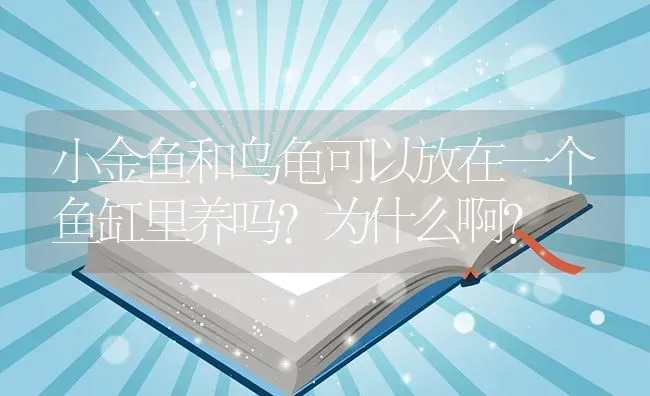 小金鱼和乌龟可以放在一个鱼缸里养吗?为什么啊？ | 鱼类宠物饲养