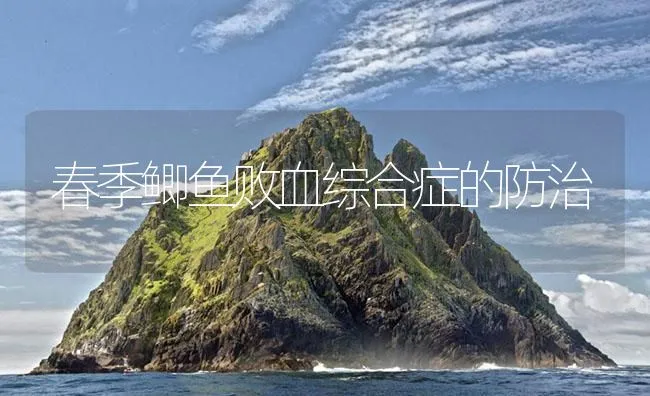 春季鲫鱼败血综合症的防治 | 海水养殖技术