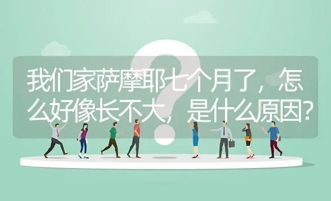 我们家萨摩耶七个月了，怎么好像长不大，是什么原因？ | 动物养殖问答