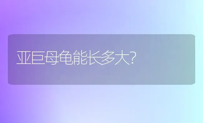 亚巨母龟能长多大？ | 动物养殖问答