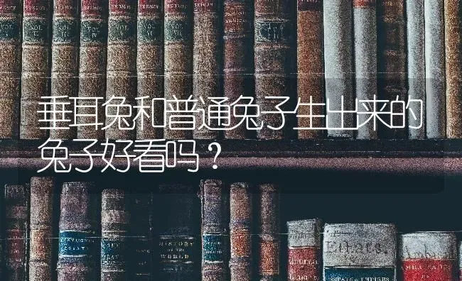 垂耳兔和普通兔子生出来的兔子好看吗？ | 动物养殖问答