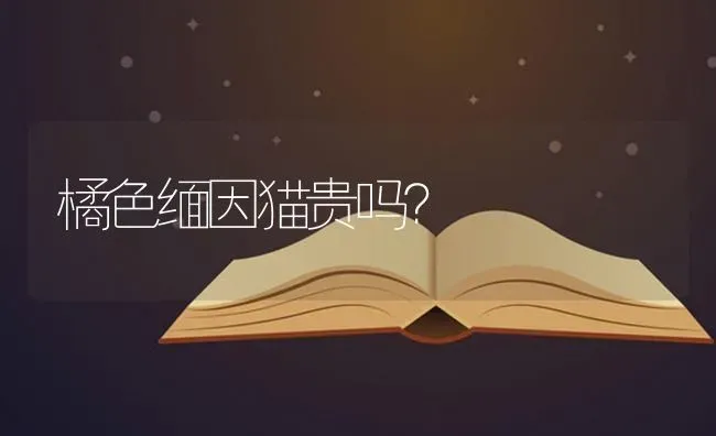 橘色缅因猫贵吗？ | 动物养殖问答