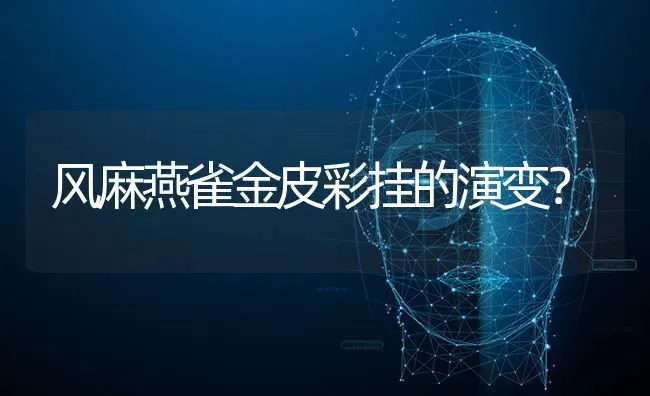 风麻燕雀金皮彩挂的演变？ | 动物养殖问答