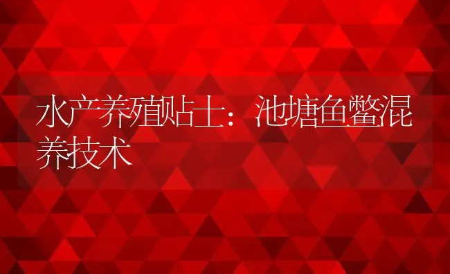 水产养殖贴士：池塘鱼鳖混养技术 | 动物养殖饲料