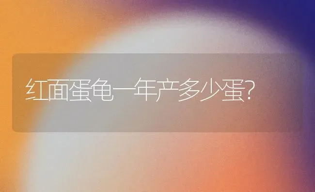 红面蛋龟一年产多少蛋？ | 动物养殖问答