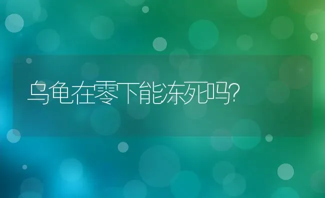 乌龟在零下能冻死吗？ | 动物养殖问答