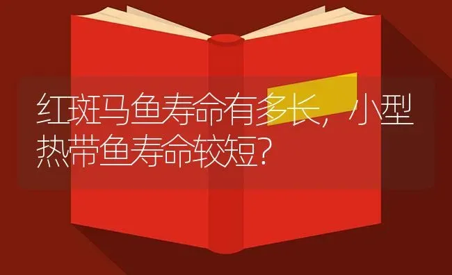 红斑马鱼寿命有多长，小型热带鱼寿命较短？ | 鱼类宠物饲养