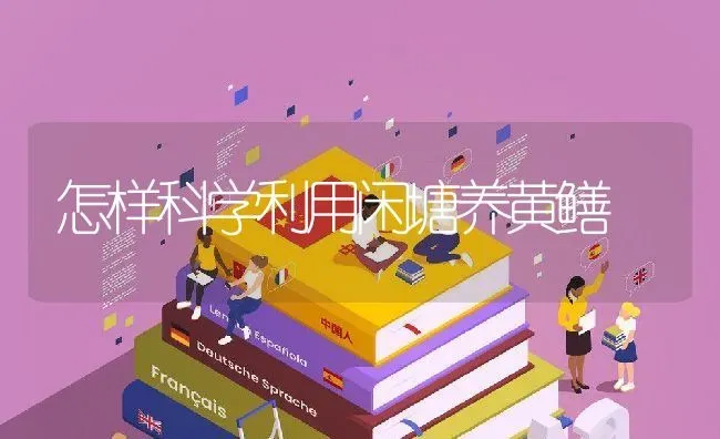 怎样科学利用闲塘养黄鳝 | 动物养殖百科