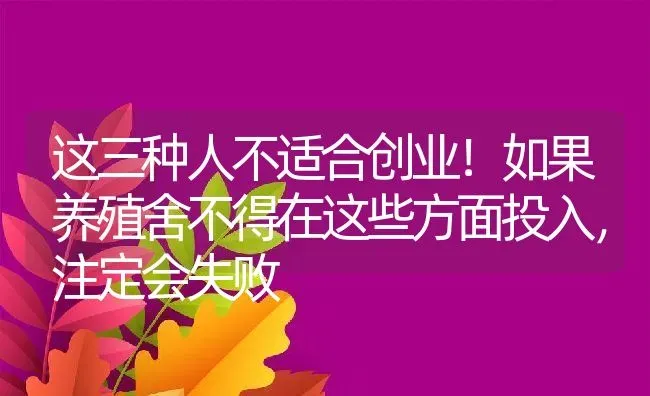 这三种人不适合创业！如果养殖舍不得在这些方面投入，注定会失败 | 动物养殖百科