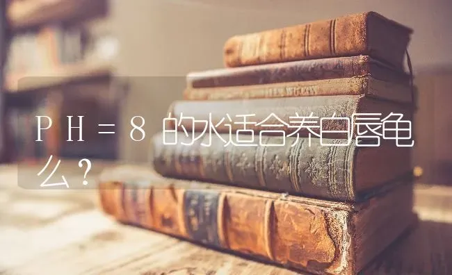 PH=8的水适合养白唇龟么？ | 动物养殖问答