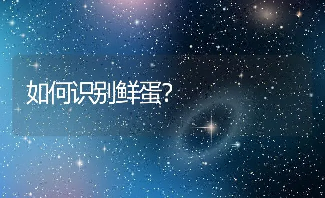 如何识别鲜蛋？ | 动物养殖学堂