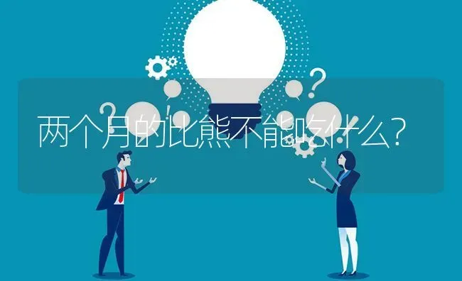 两个月的比熊不能吃什么？ | 动物养殖问答