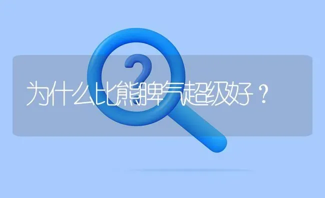 为什么比熊脾气超级好？ | 动物养殖问答