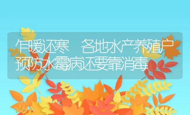 乍暖还寒 各地水产养殖户预防水霉病还要靠消毒 | 动物养殖饲料