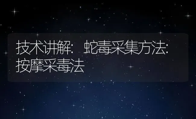 技术讲解:蛇毒采集方法:按摩采毒法 | 动物养殖百科