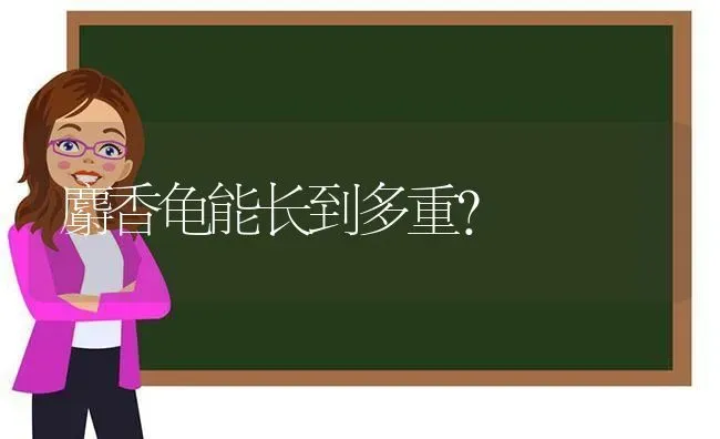 麝香龟能长到多重？ | 动物养殖问答