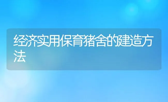 经济实用保育猪舍的建造方法 | 动物养殖饲料