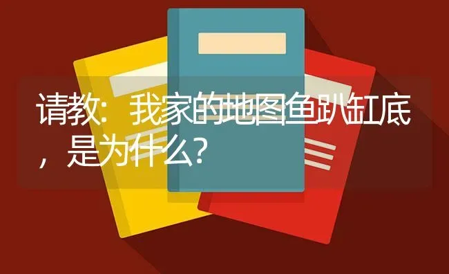 请教:我家的地图鱼趴缸底，是为什么？ | 鱼类宠物饲养