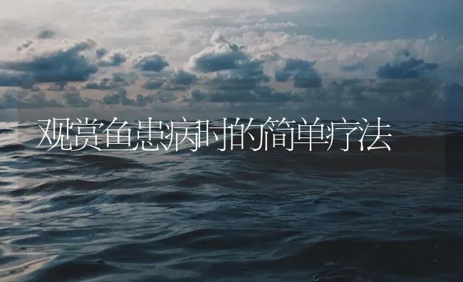 观赏鱼患病时的简单疗法 | 海水养殖技术