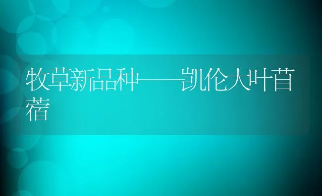 牧草新品种——凯伦大叶苜蓿 | 动物养殖饲料