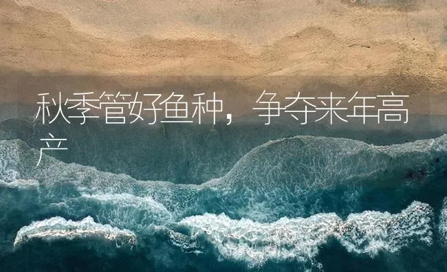 秋季管好鱼种，争夺来年高产 | 海水养殖技术