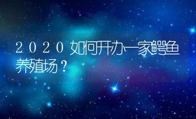 2020如何开办一家鳄鱼养殖场？ | 动物养殖百科