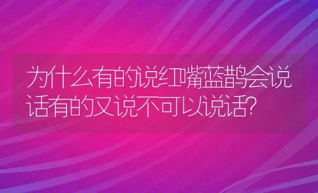 为什么有的说红嘴蓝鹊会说话有的又说不可以说话？ | 动物养殖问答