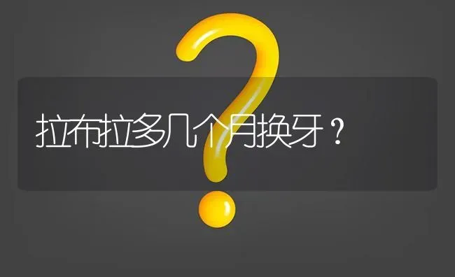 养拉布拉多的十大痛苦程度？ | 动物养殖问答