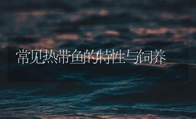 常见热带鱼的特性与饲养 | 海水养殖技术