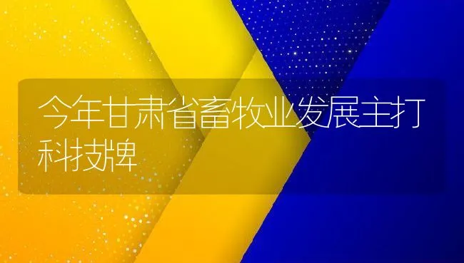 今年甘肃省畜牧业发展主打科技牌 | 动物养殖饲料