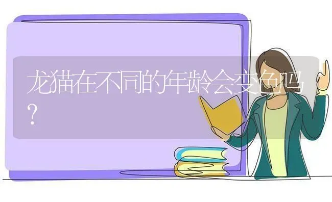 龙猫在不同的年龄会变色吗？ | 动物养殖问答