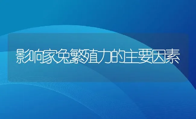 影响家兔繁殖力的主要因素 | 水产养殖知识