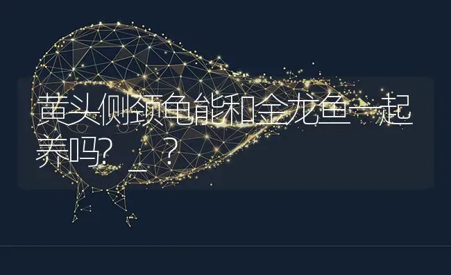 黄头侧颈龟能和金龙鱼一起养吗?_？ | 动物养殖问答