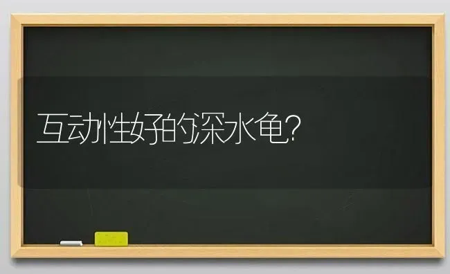 互动性好的深水龟？ | 动物养殖问答