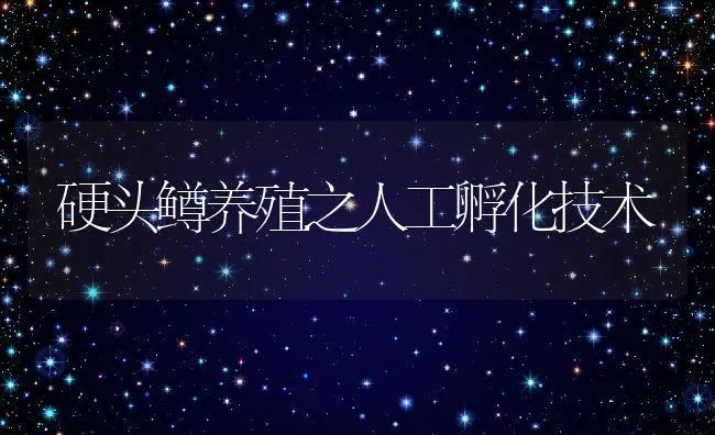 硬头鳟养殖之人工孵化技术 | 动物养殖饲料