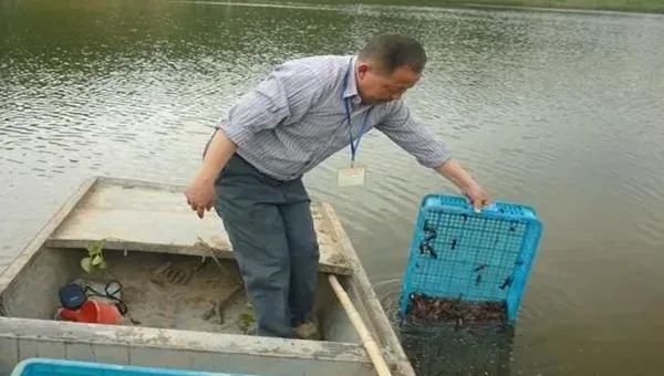 各种海鲜养殖方法，水温控制很重要