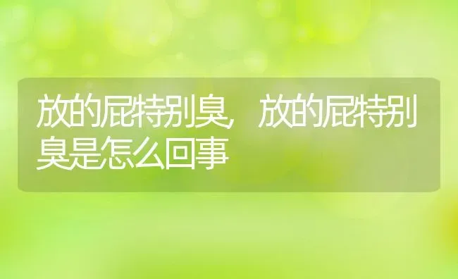 放的屁特别臭,放的屁特别臭是怎么回事 | 宠物百科知识