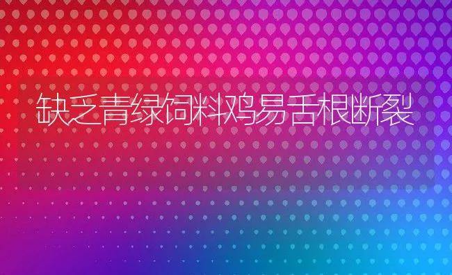 缺乏青绿饲料鸡易舌根断裂 | 动物养殖饲料