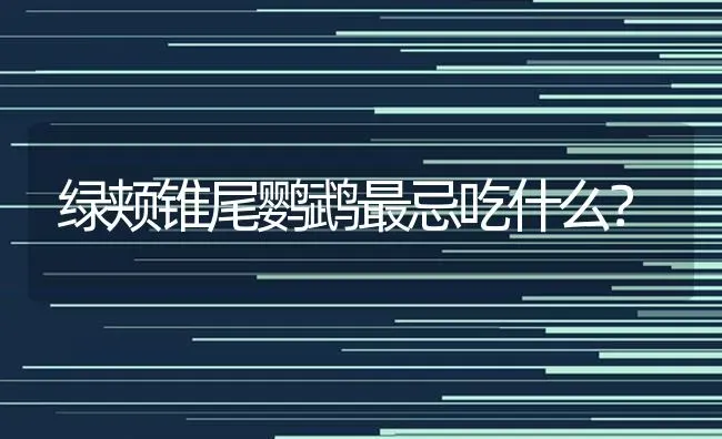 绿颊锥尾鹦鹉最忌吃什么？ | 动物养殖问答