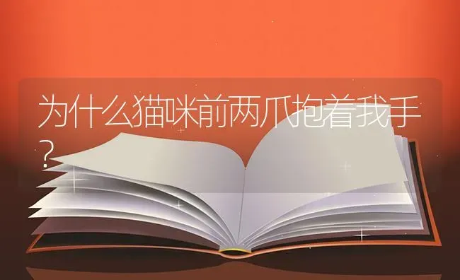 为什么猫咪前两爪抱着我手？ | 动物养殖问答