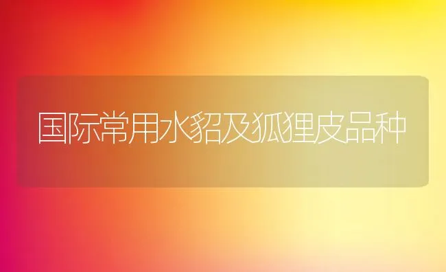 国际常用水貂及狐狸皮品种 | 动物养殖饲料