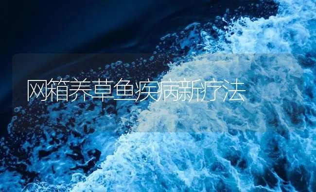 网箱养草鱼疾病新疗法 | 海水养殖技术