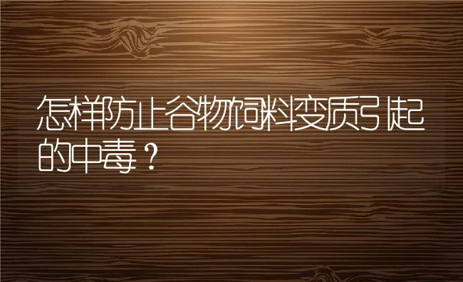 怎样防止谷物饲料变质引起的中毒？ | 动物养殖学堂