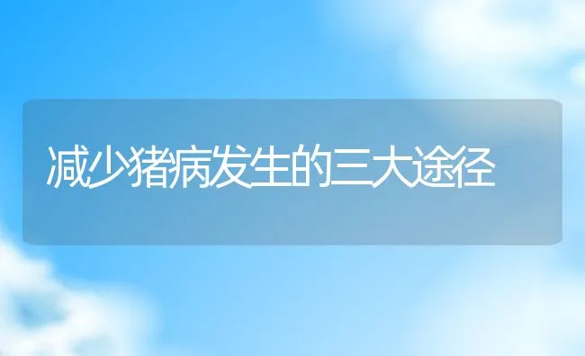 减少猪病发生的三大途径 | 动物养殖学堂