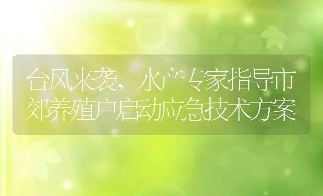 台风来袭，水产专家指导市郊养殖户启动应急技术方案 | 动物养殖饲料