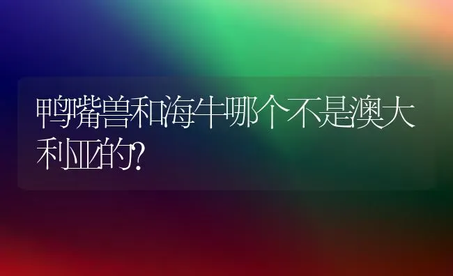 鸭嘴兽和海牛哪个不是澳大利亚的？ | 动物养殖问答