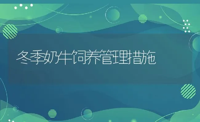 亲虾安全越冬八窍门 | 海水养殖技术