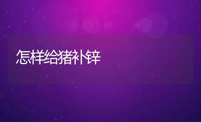 怎样给猪补锌 | 动物养殖饲料