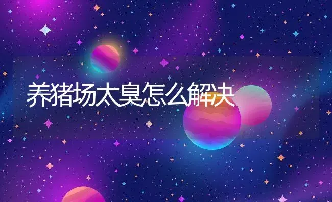 养猪场太臭怎么解决 | 动物养殖百科